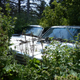 Illustration for article titled A Michigan Town Is Forcing This Man To Sell 20 Old Cars Off His Property Every Month
